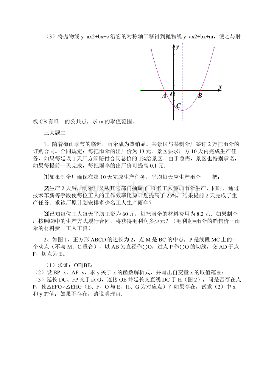 新人教版九年级中考后三大题专题训练.docx_第2页