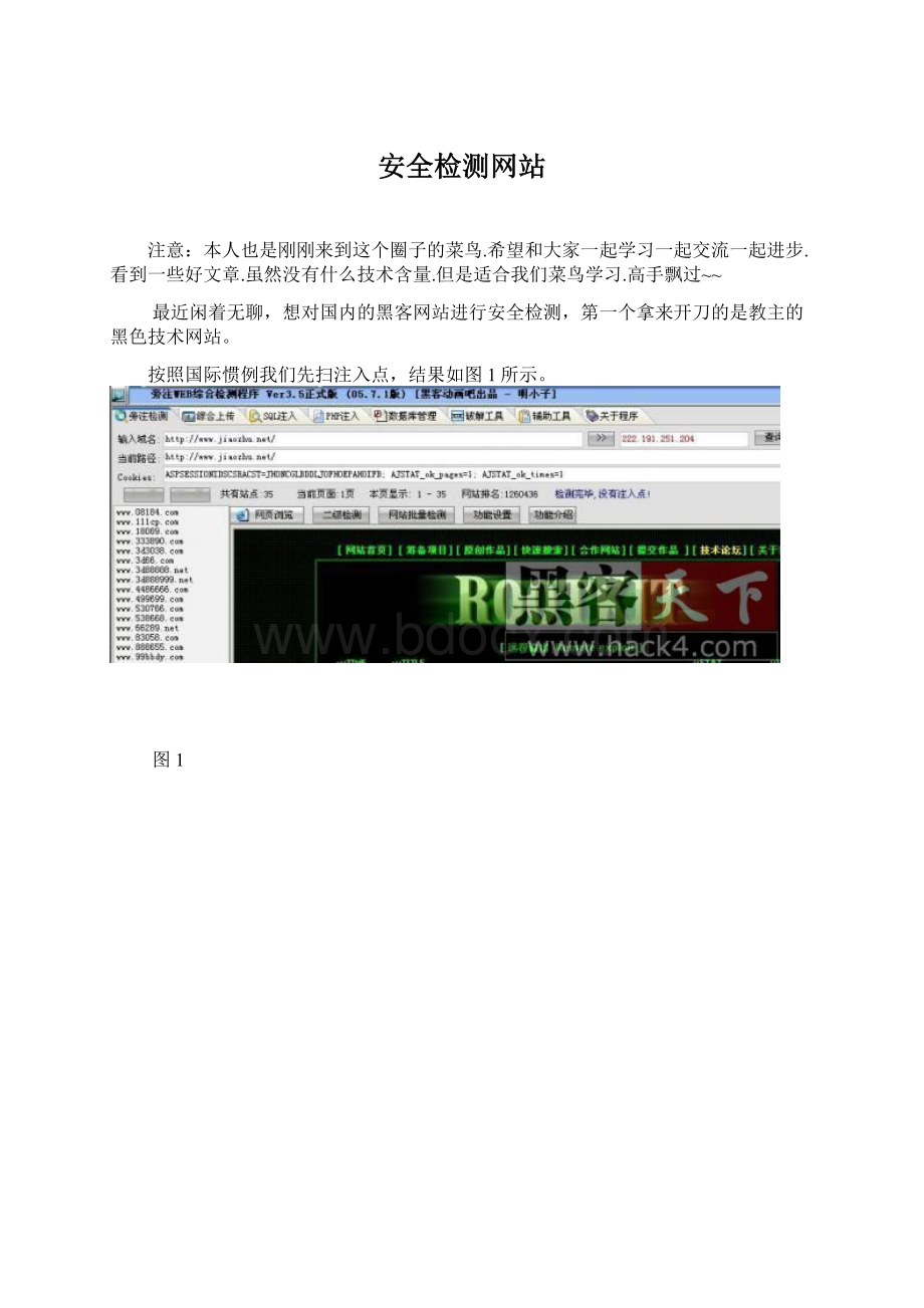 安全检测网站.docx_第1页