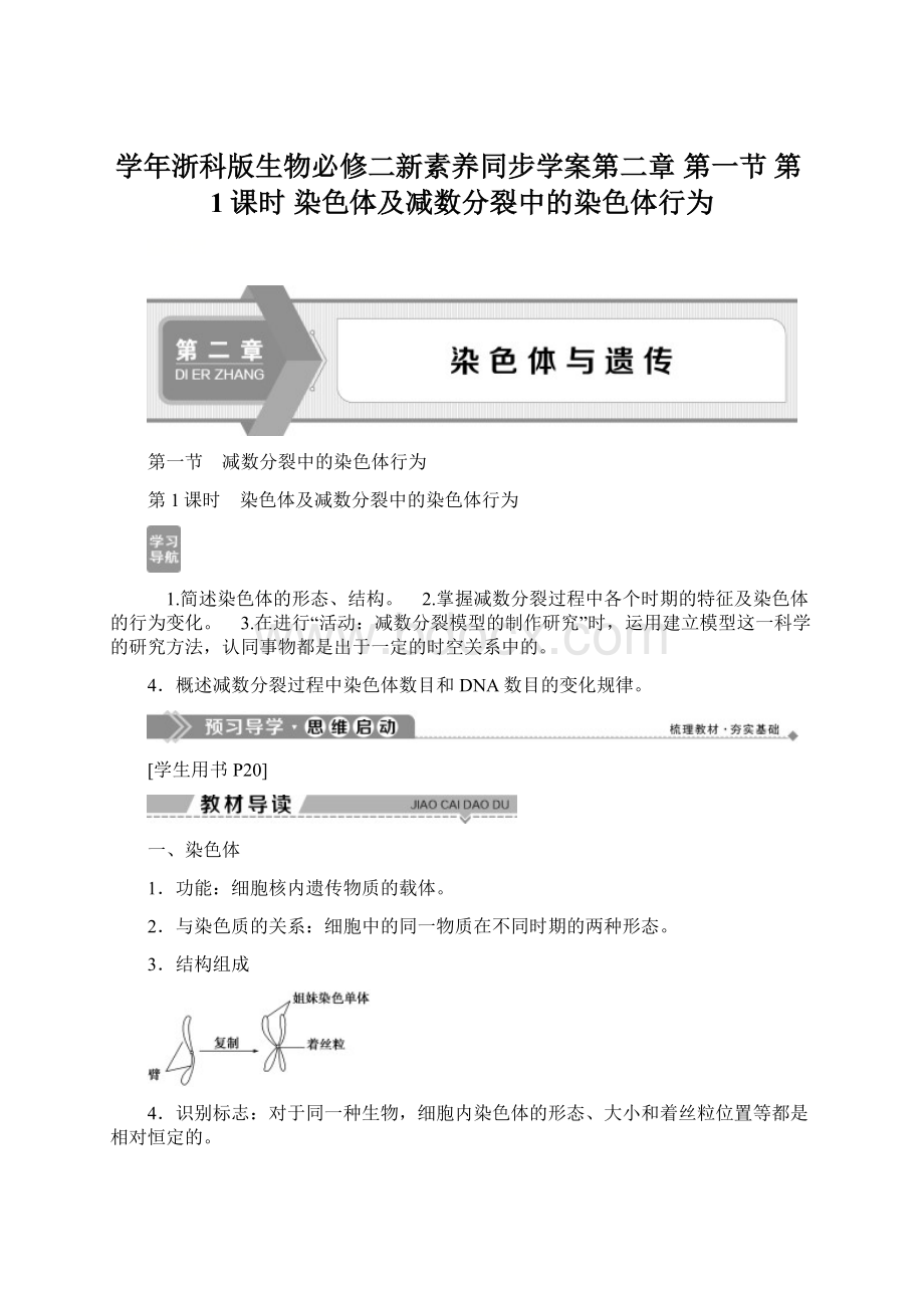 学年浙科版生物必修二新素养同步学案第二章 第一节 第1课时 染色体及减数分裂中的染色体行为.docx