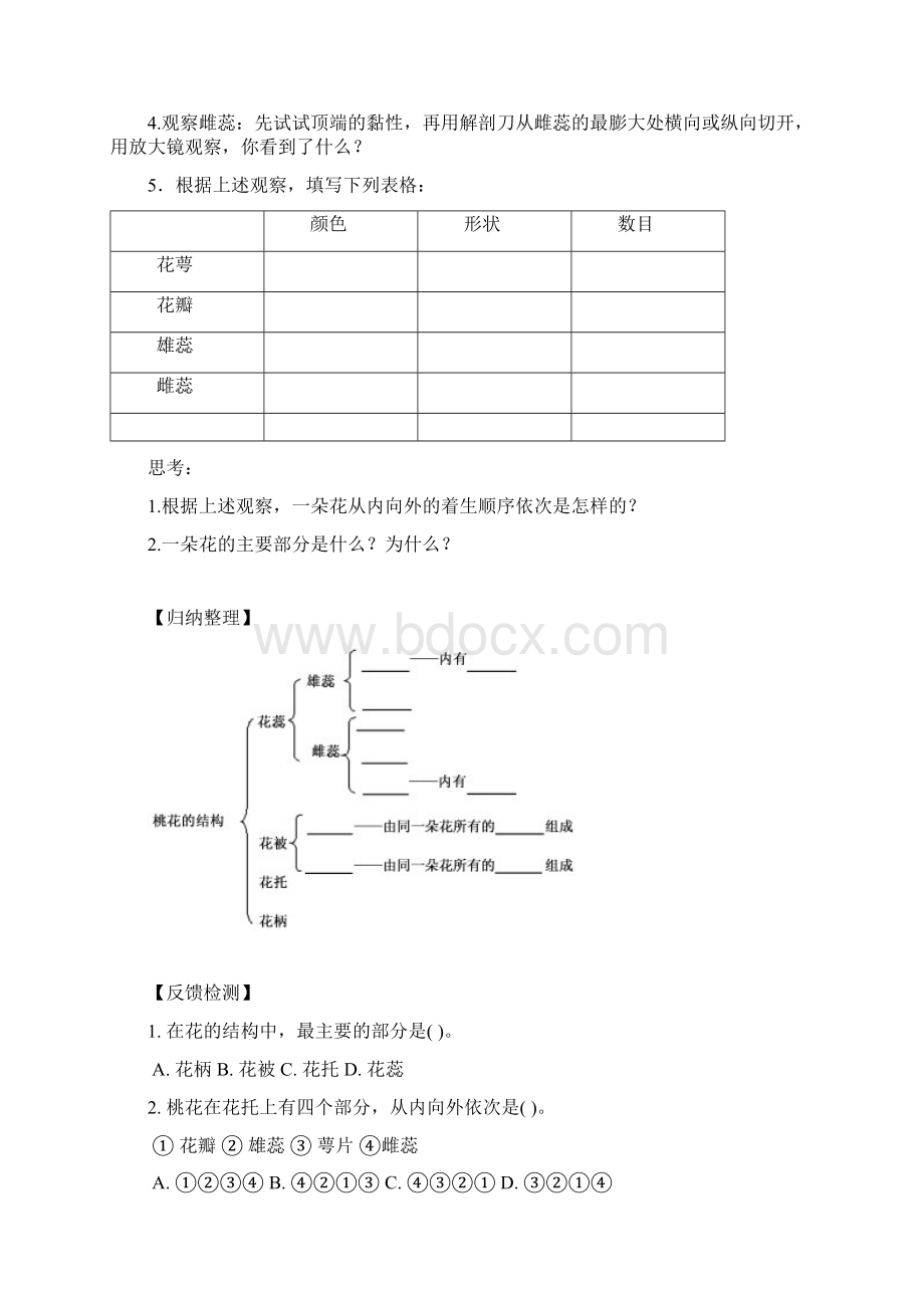 初二上册导学案文档格式.docx_第2页