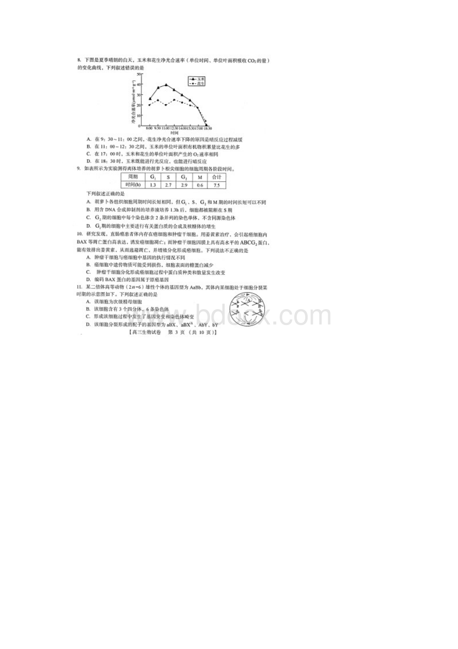 河南省三门峡市届高三第一次大练习生物试题含答案解析Word格式文档下载.docx_第3页