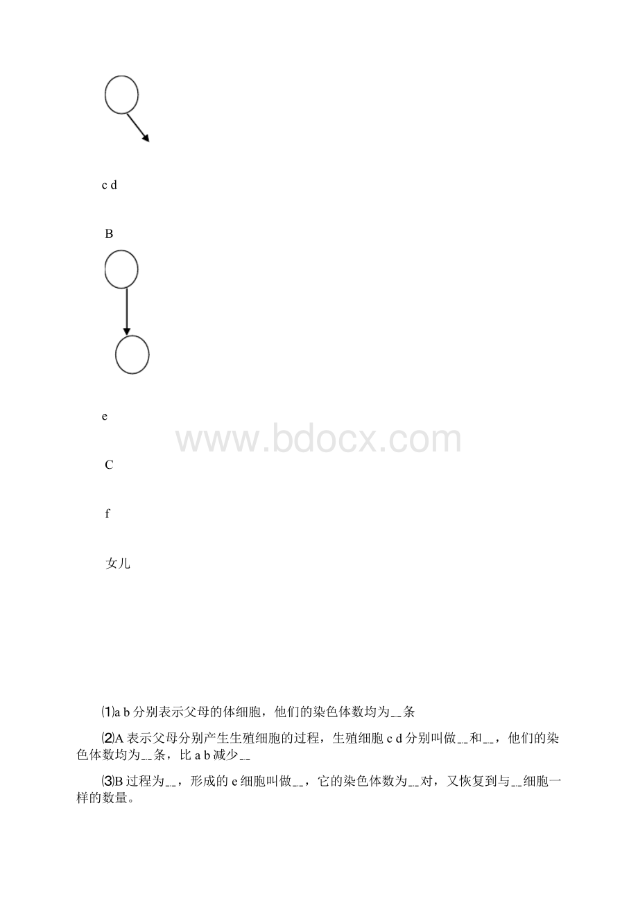 第四单元第四章生物的遗传和变异 导学案.docx_第3页