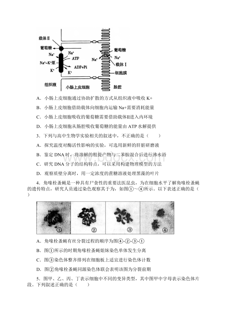 门头沟区届高三年级一模考试生物试题Word文档格式.docx_第2页