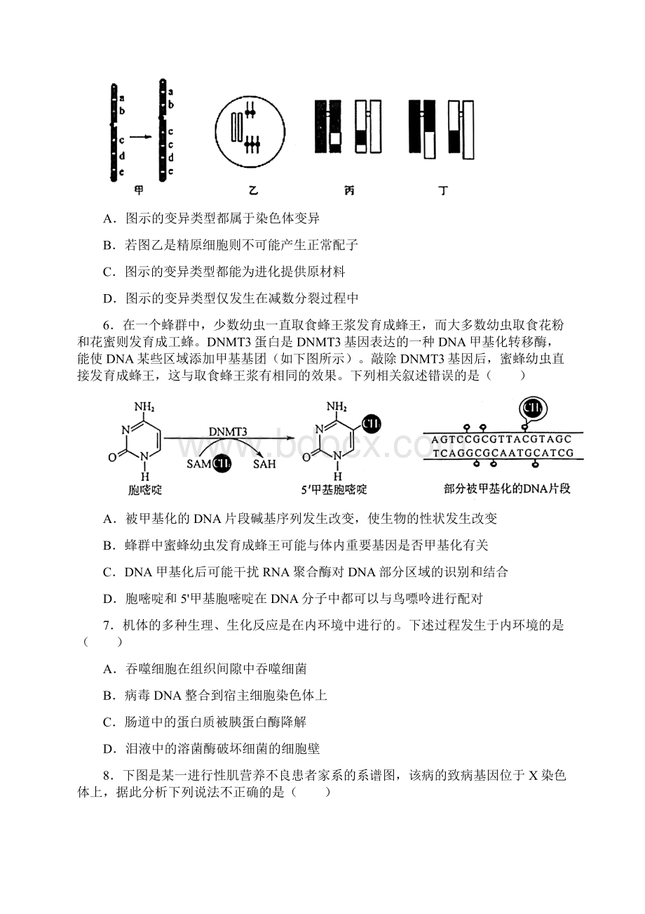 门头沟区届高三年级一模考试生物试题Word文档格式.docx_第3页