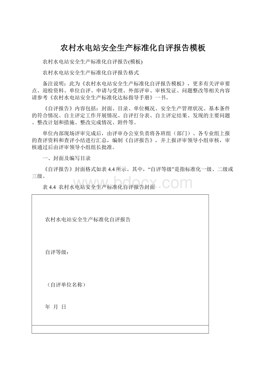 农村水电站安全生产标准化自评报告模板Word格式文档下载.docx