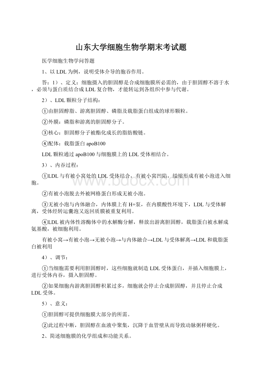 山东大学细胞生物学期末考试题Word格式.docx_第1页