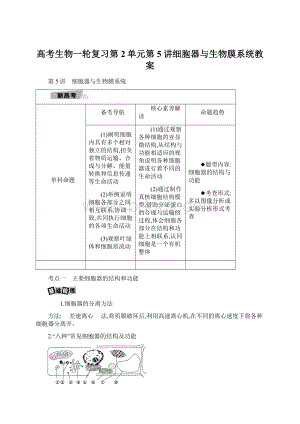 高考生物一轮复习第2单元第5讲细胞器与生物膜系统教案.docx