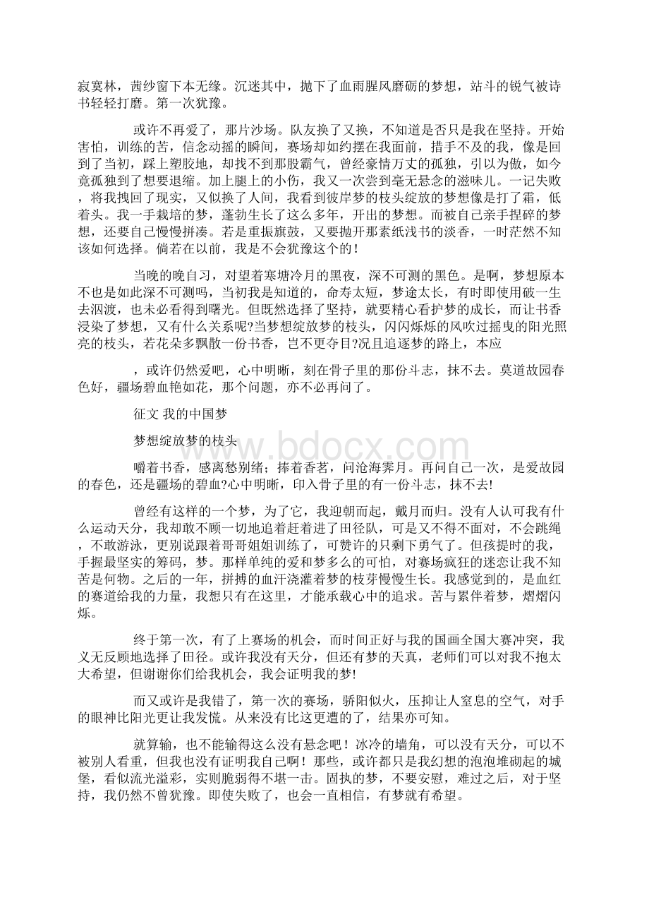 征文#160我的中国梦docWord格式文档下载.docx_第3页