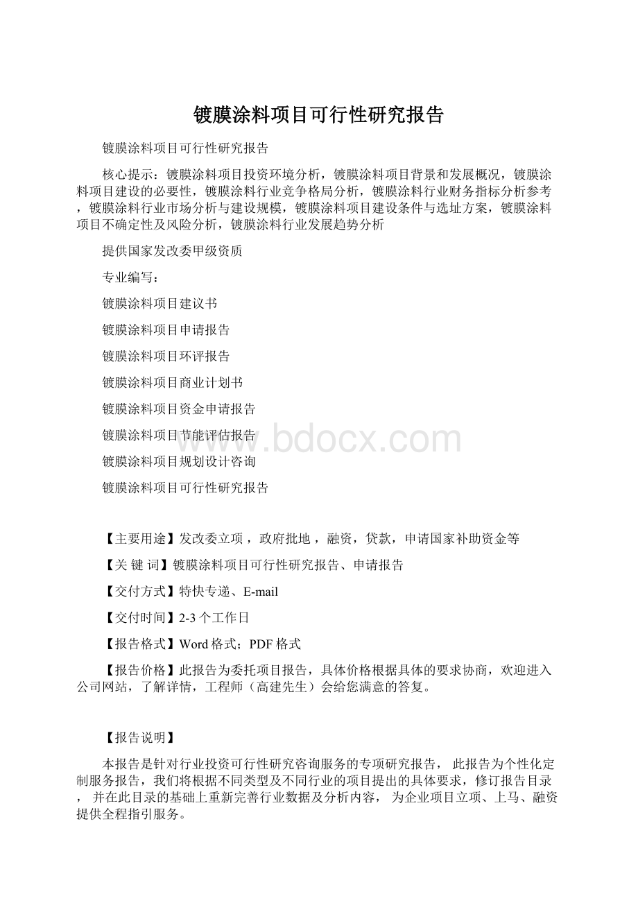 镀膜涂料项目可行性研究报告文档格式.docx