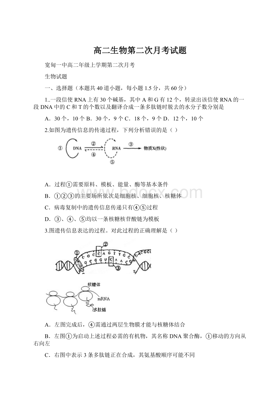 高二生物第二次月考试题.docx_第1页