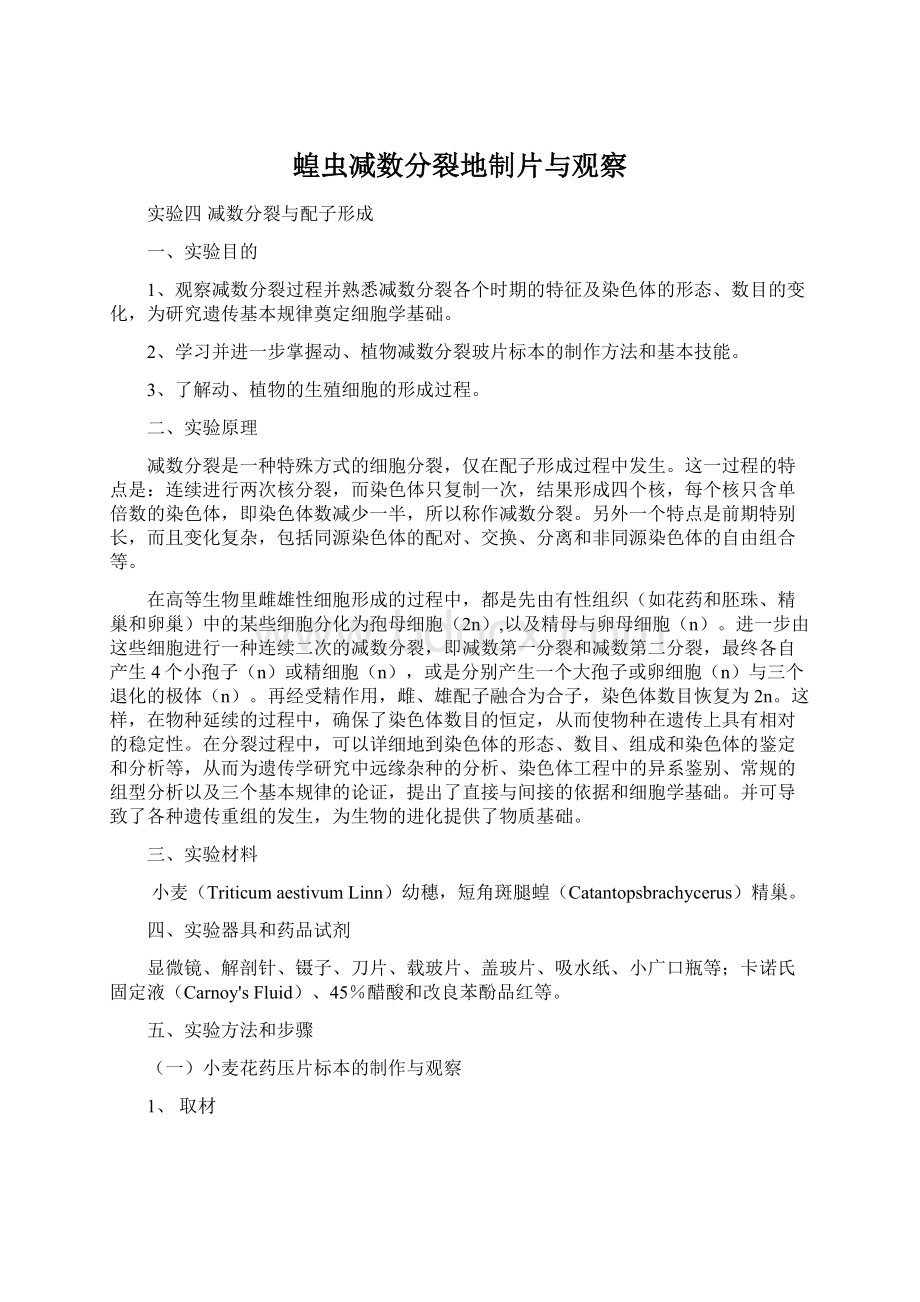 蝗虫减数分裂地制片与观察Word文档下载推荐.docx