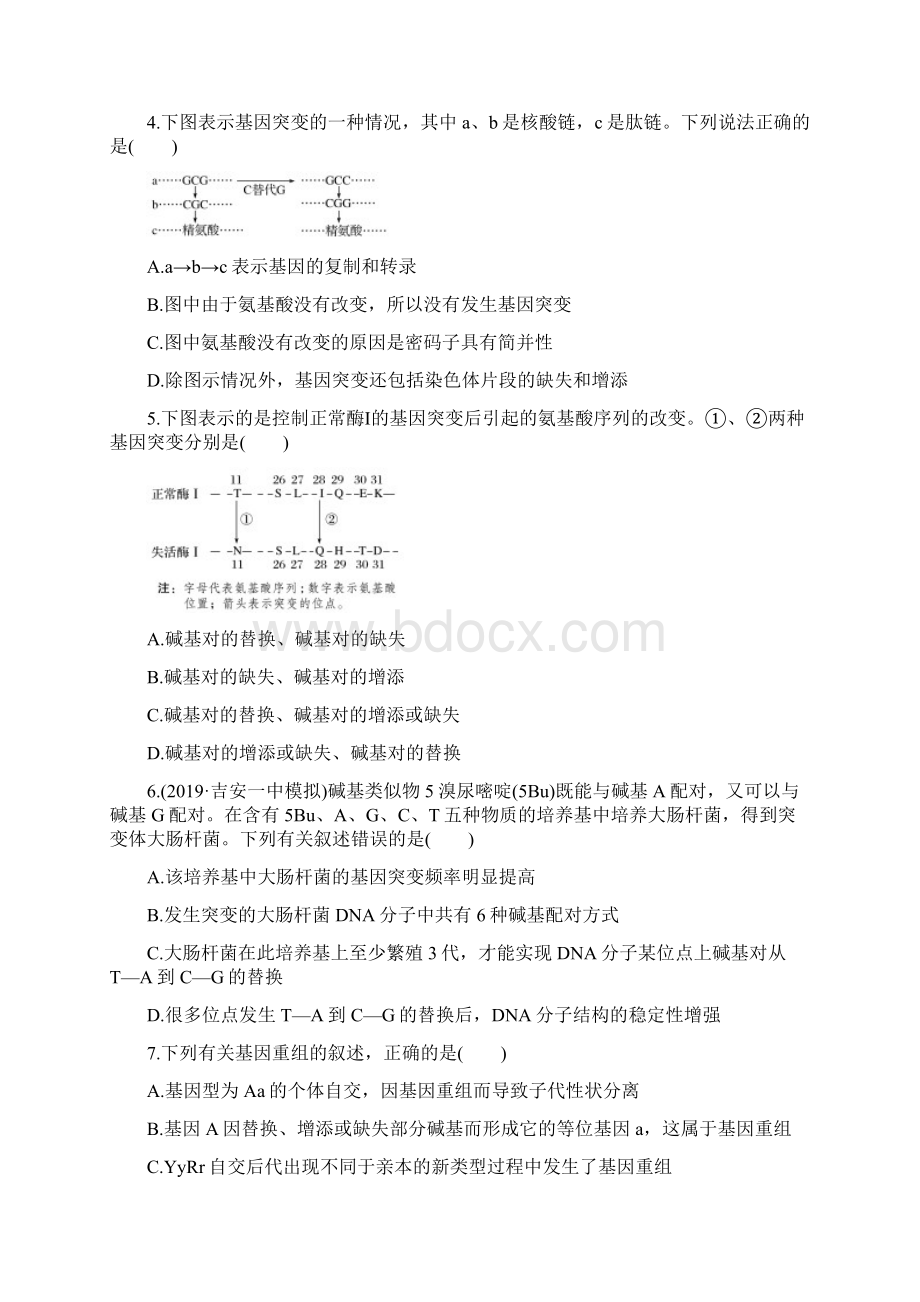 届高中生物一轮复习人教版 基因突变和基因重组作业含答案Word文档下载推荐.docx_第2页