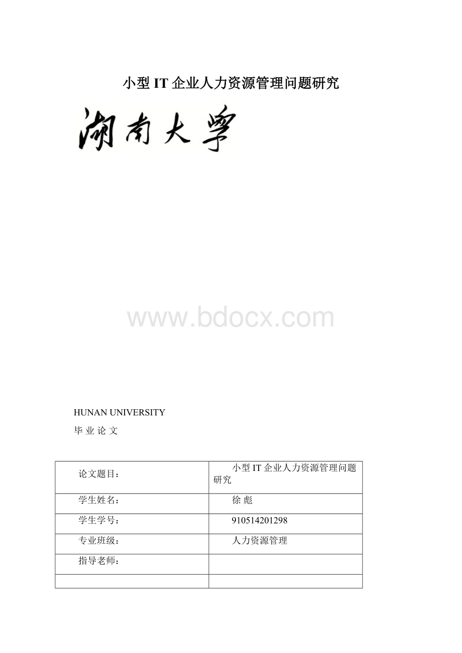 小型IT企业人力资源管理问题研究.docx