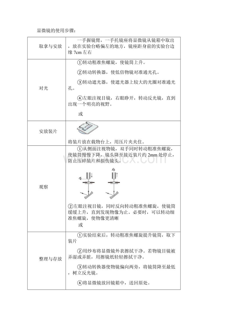 济南版初中生物会考知识点大全Word格式.docx_第3页