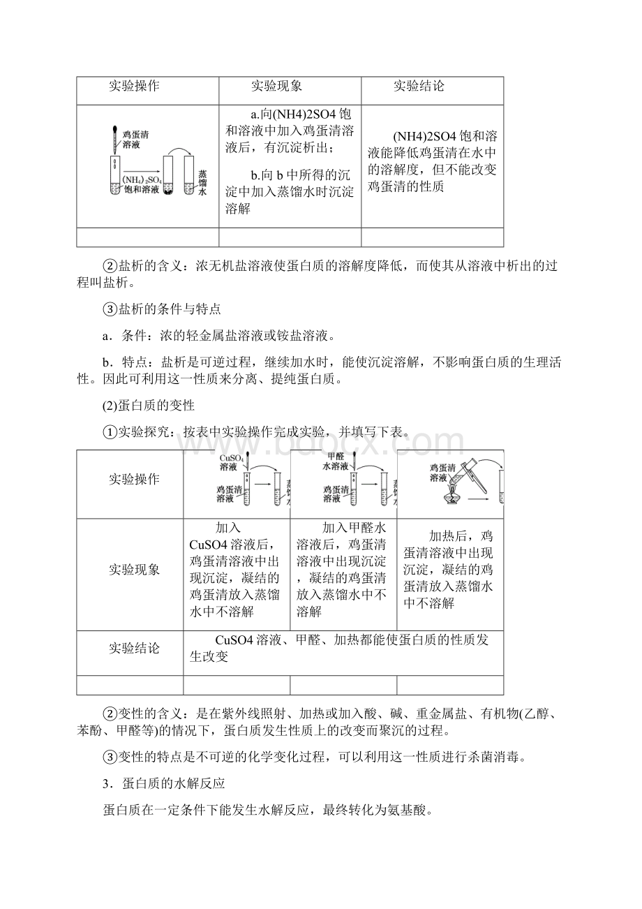 学年高一化学同步苏教版必修2学案专题3 第二单元 第五课时 蛋白质和氨基酸.docx_第2页