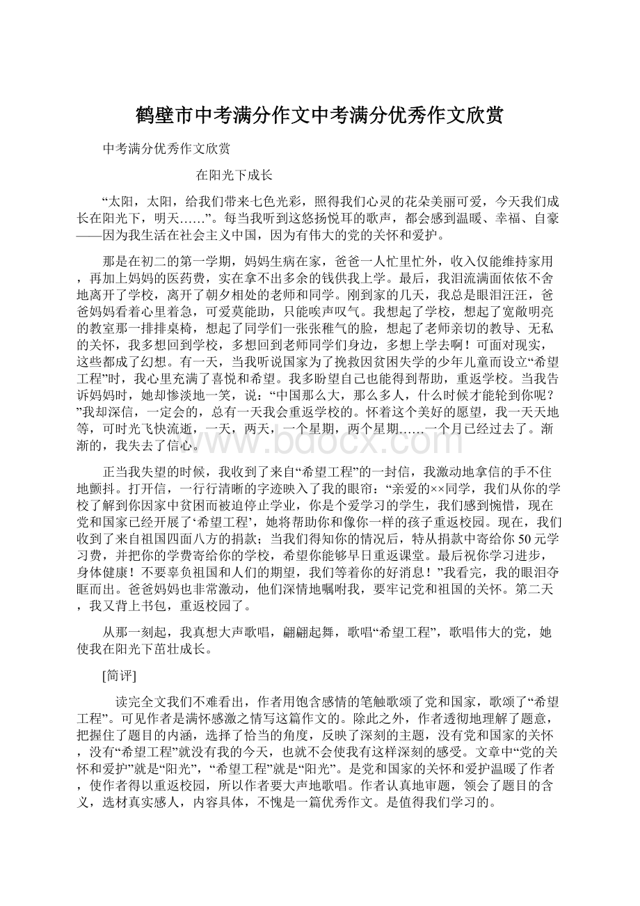 鹤壁市中考满分作文中考满分优秀作文欣赏.docx