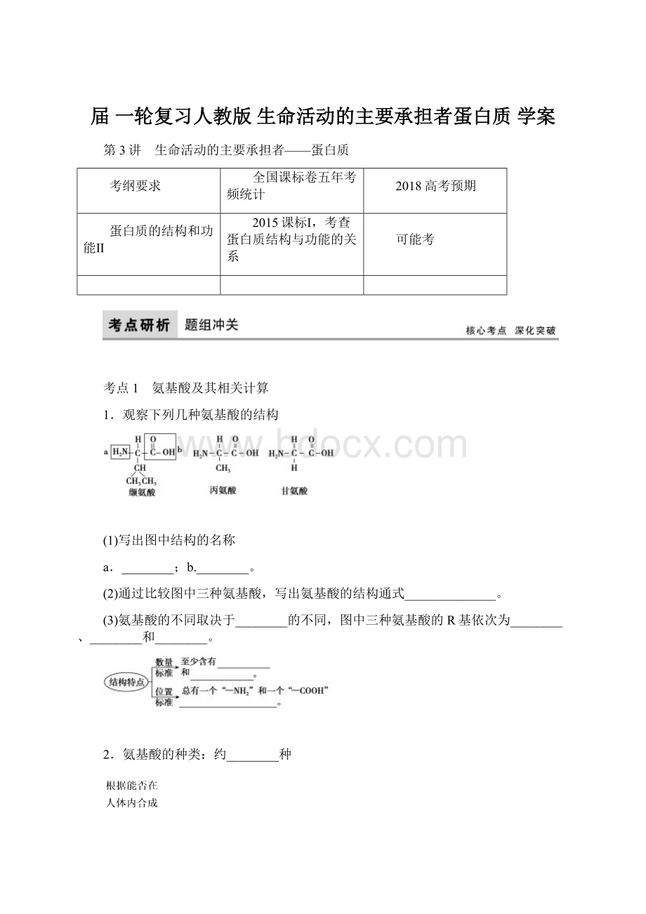 届 一轮复习人教版 生命活动的主要承担者蛋白质 学案.docx_第1页