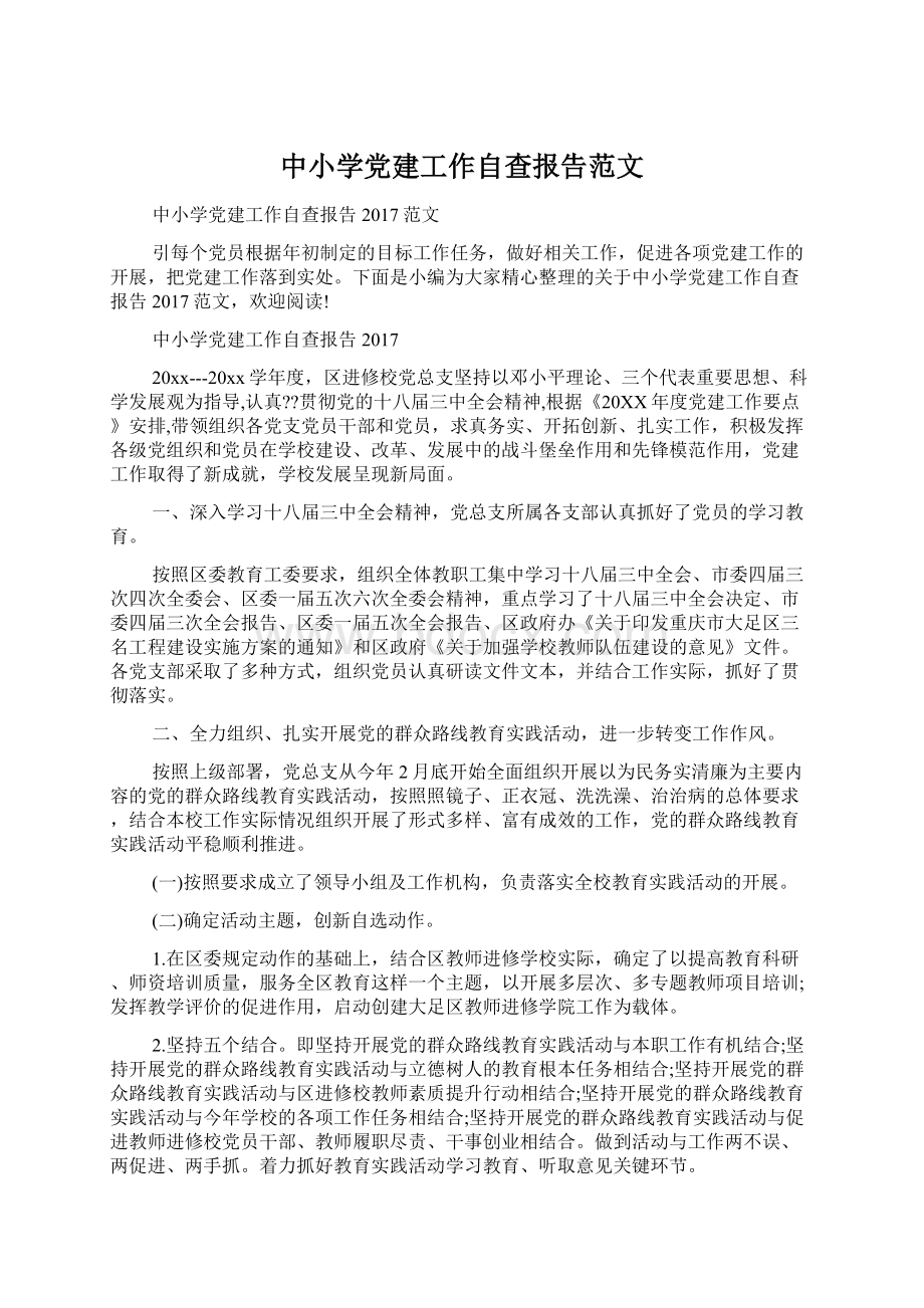 中小学党建工作自查报告范文.docx