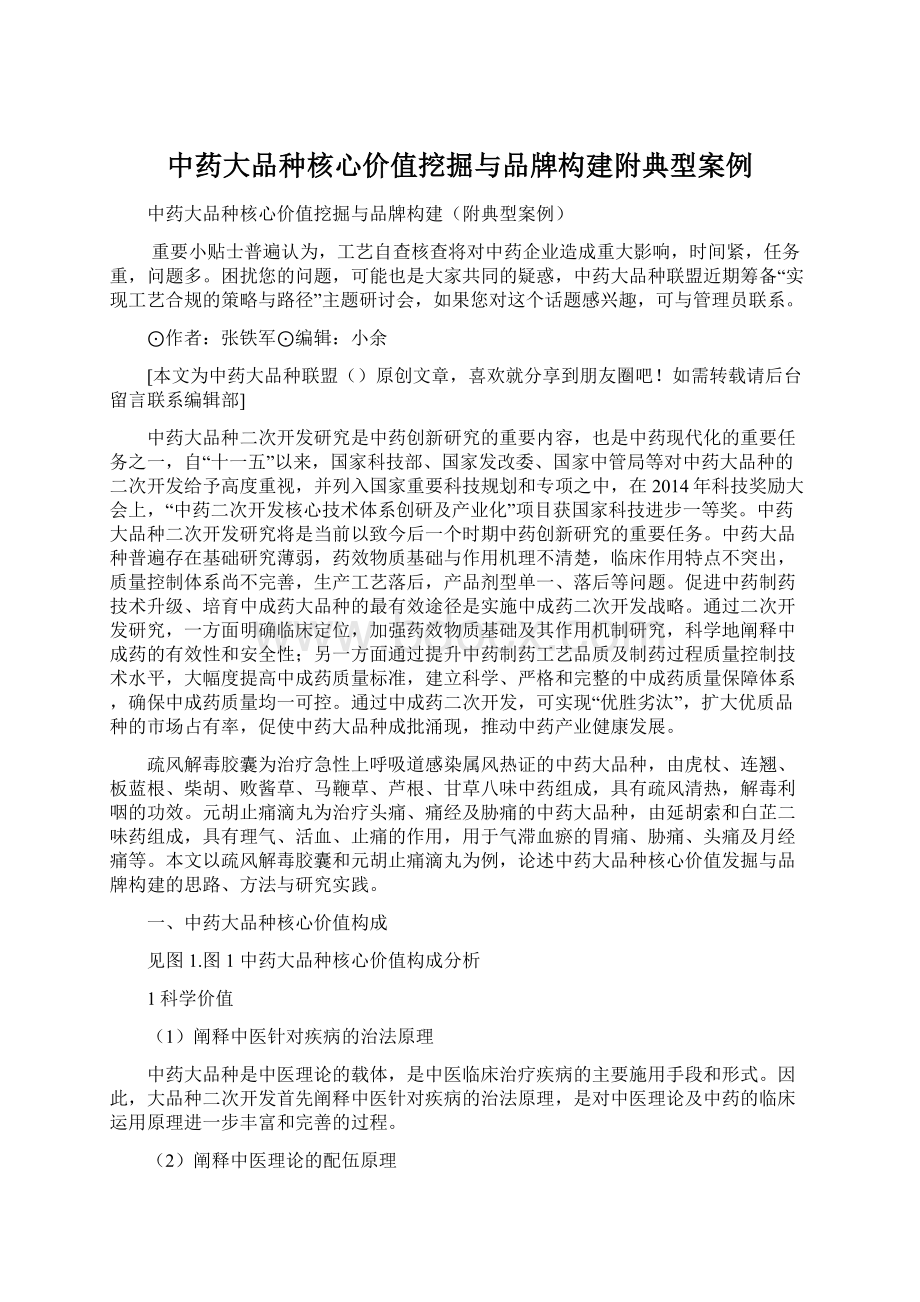 中药大品种核心价值挖掘与品牌构建附典型案例Word文档格式.docx