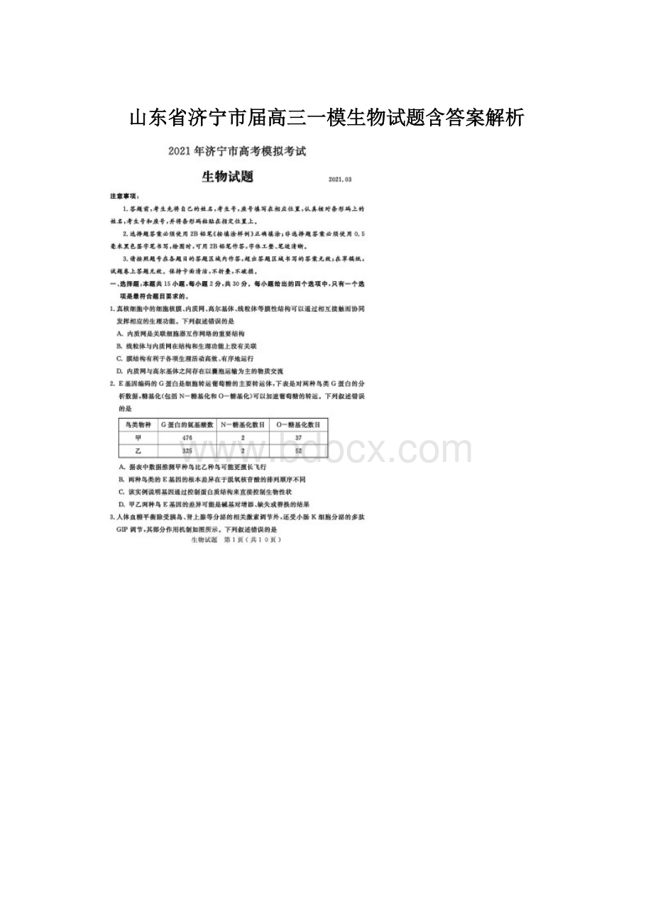 山东省济宁市届高三一模生物试题含答案解析Word格式文档下载.docx_第1页