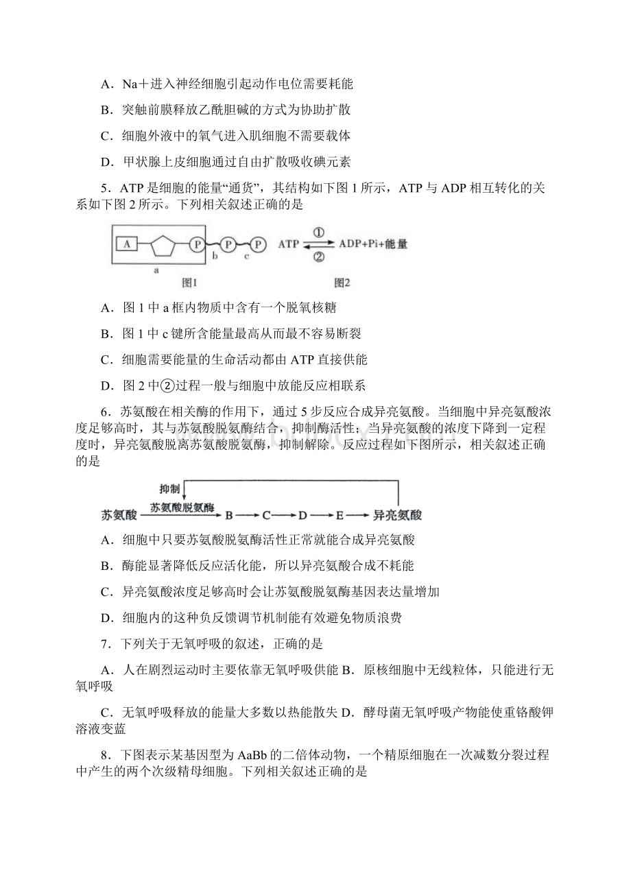 安徽省安庆市高三上学期期末教学质量监测生物试题含答案.docx_第2页