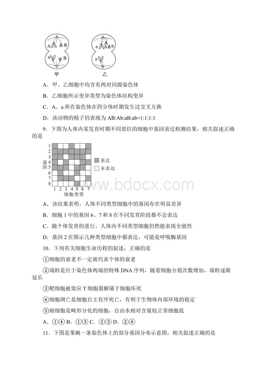 安徽省安庆市高三上学期期末教学质量监测生物试题含答案文档格式.docx_第3页