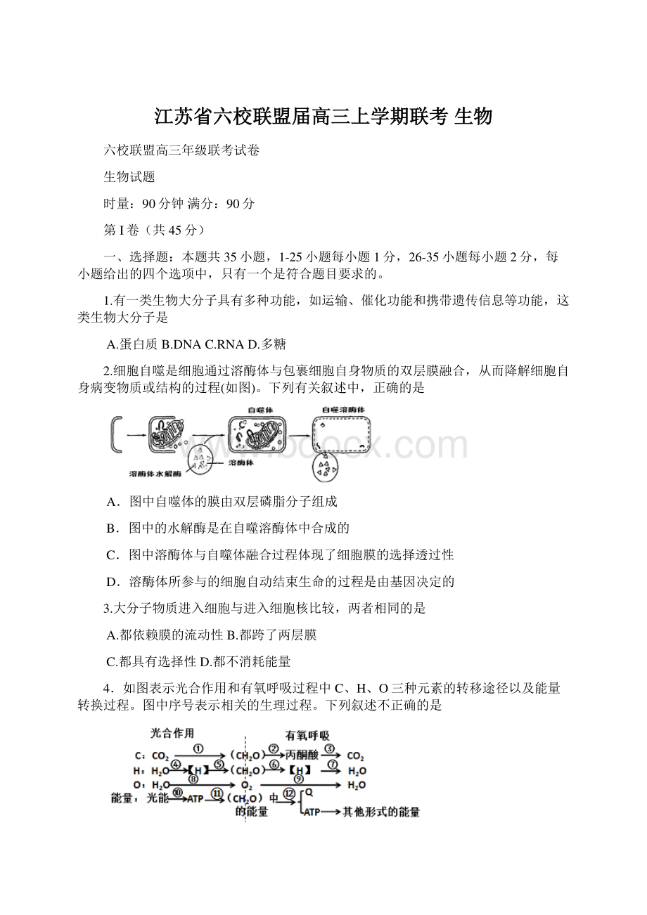 江苏省六校联盟届高三上学期联考 生物.docx