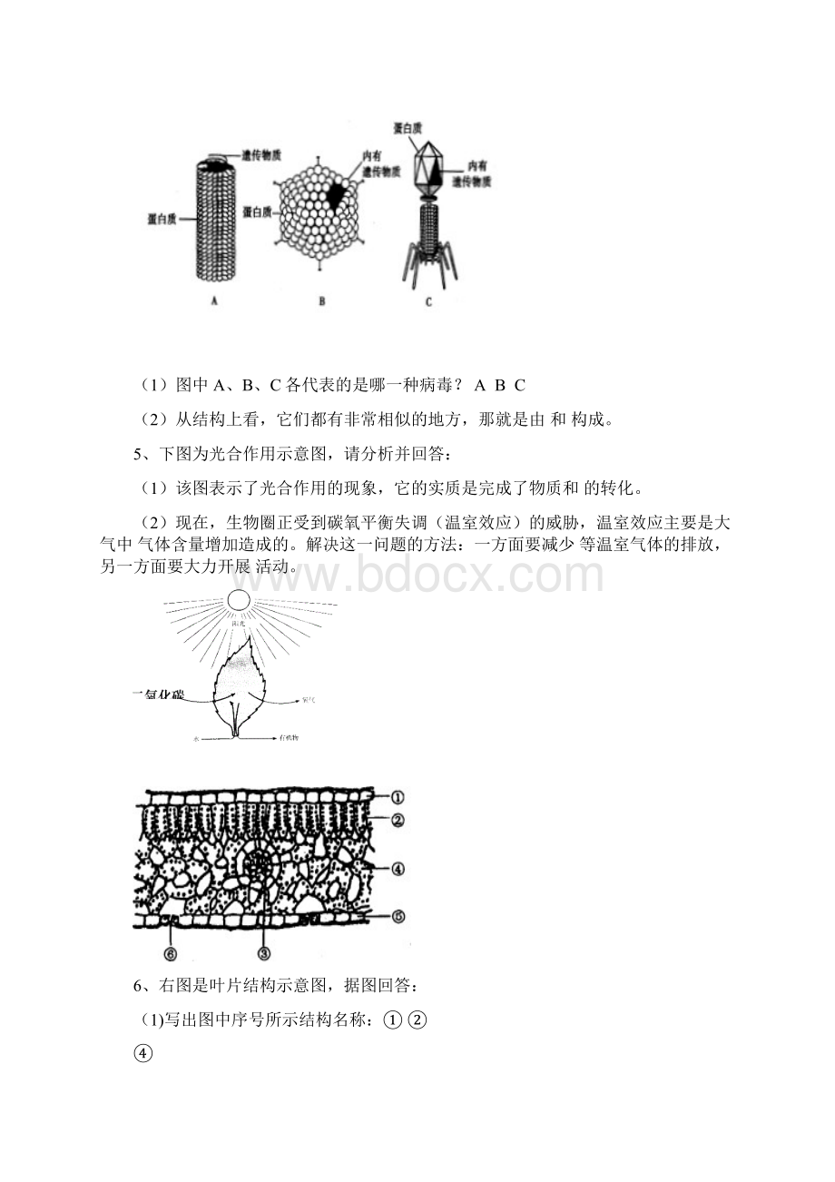 中考生物结业识图题专题复习.docx_第3页