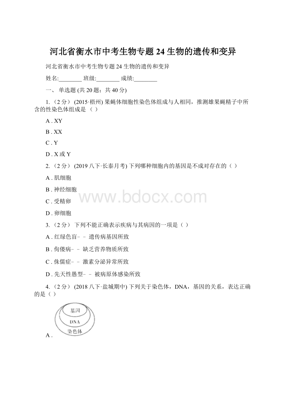 河北省衡水市中考生物专题24 生物的遗传和变异Word格式.docx_第1页