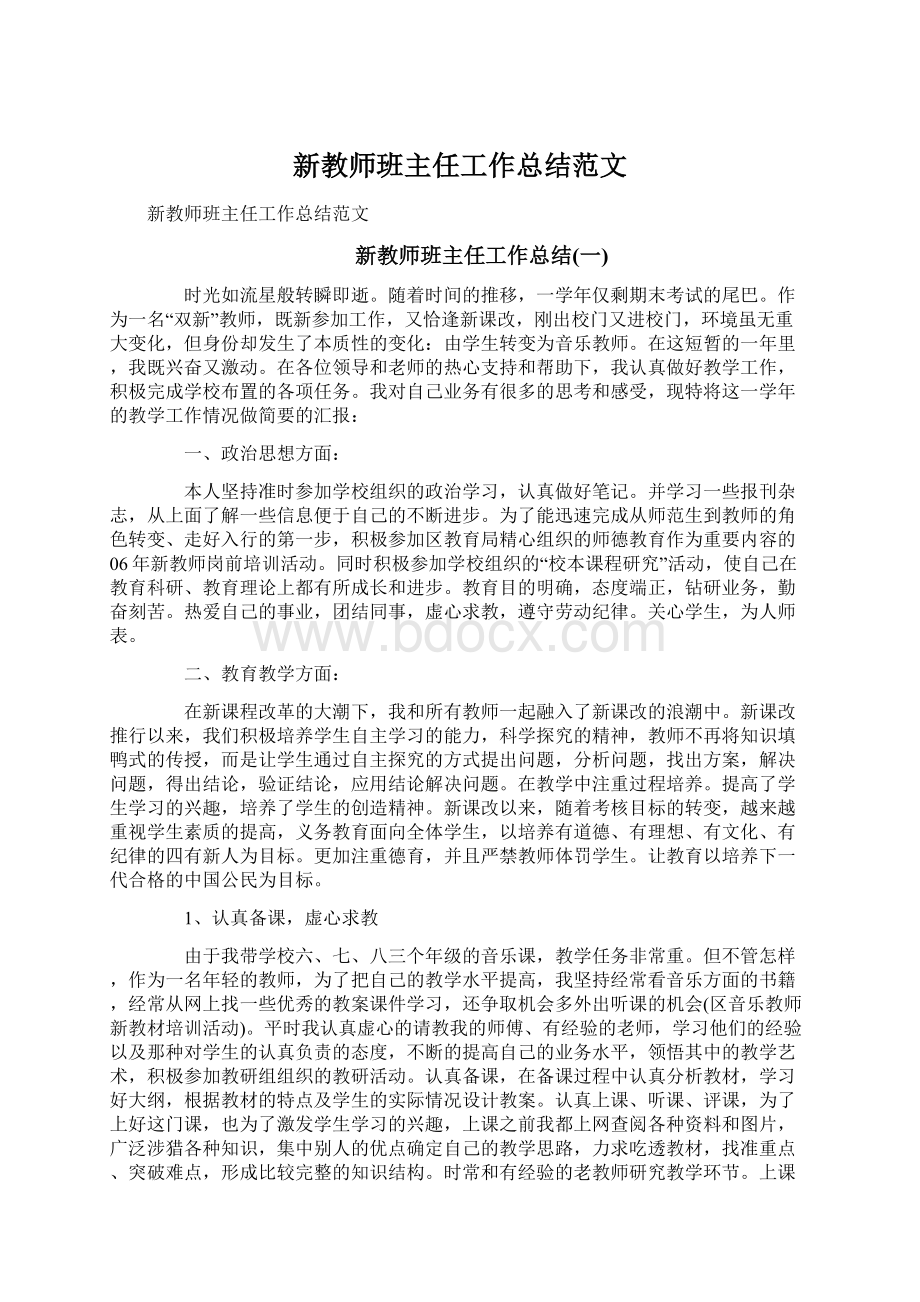 新教师班主任工作总结范文.docx