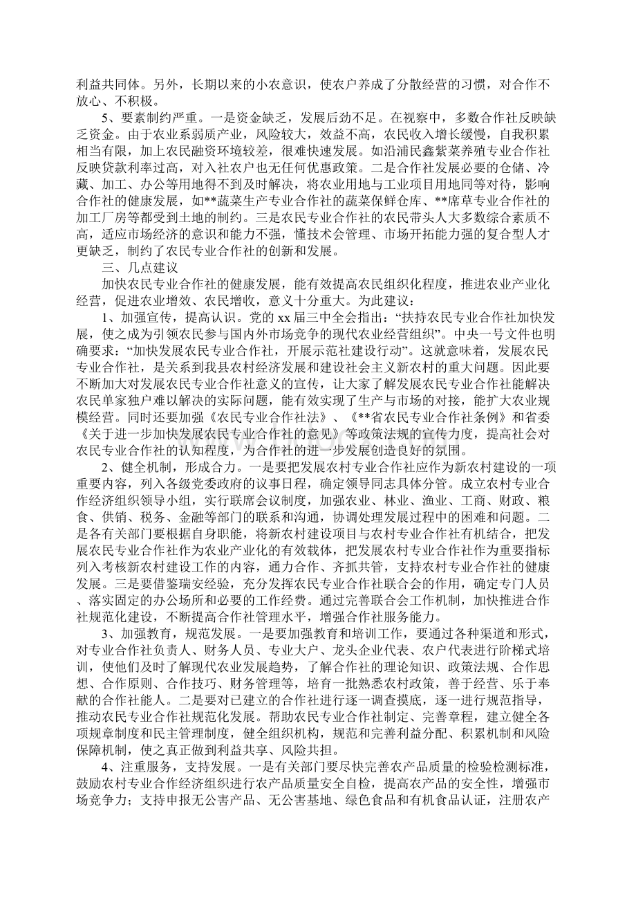 关于农民专业合作社视察情况的报告范本Word文件下载.docx_第3页