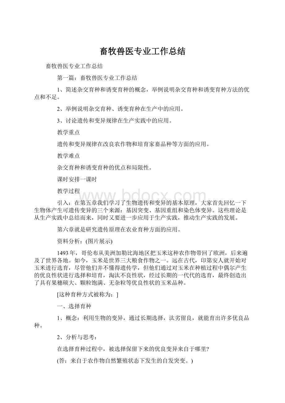 畜牧兽医专业工作总结Word文件下载.docx