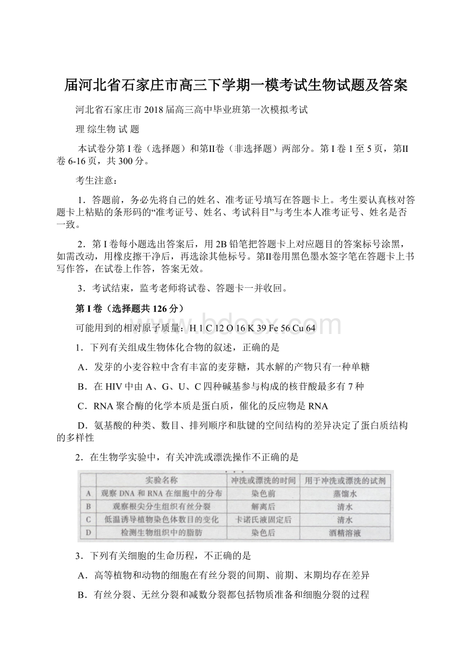 届河北省石家庄市高三下学期一模考试生物试题及答案.docx_第1页