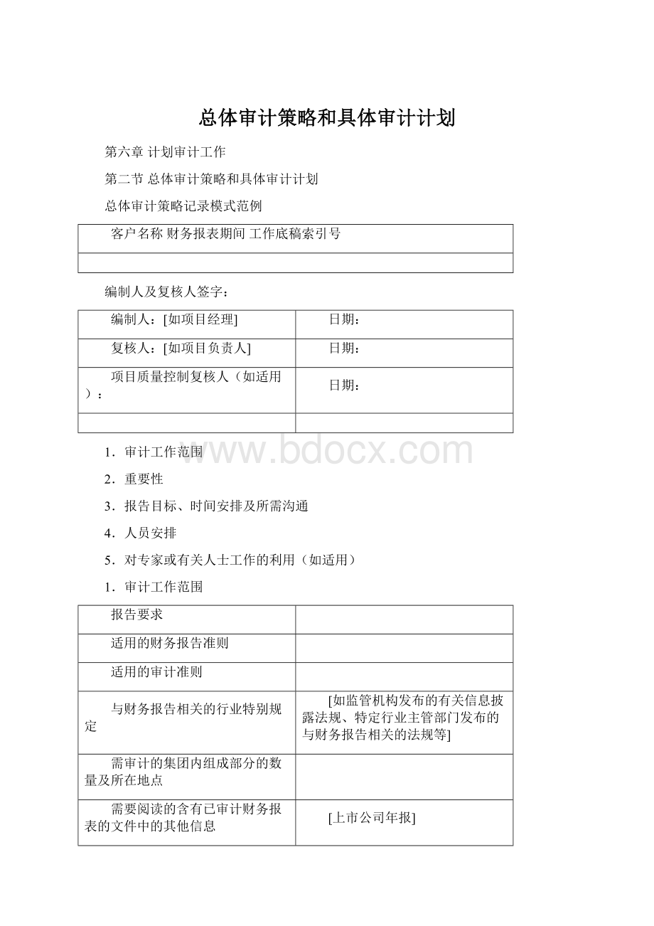 总体审计策略和具体审计计划.docx_第1页