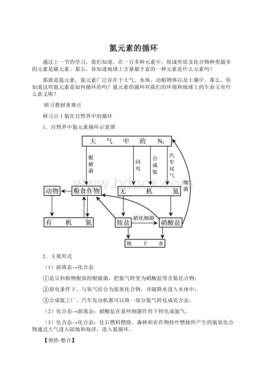 氮元素的循环.docx_第1页