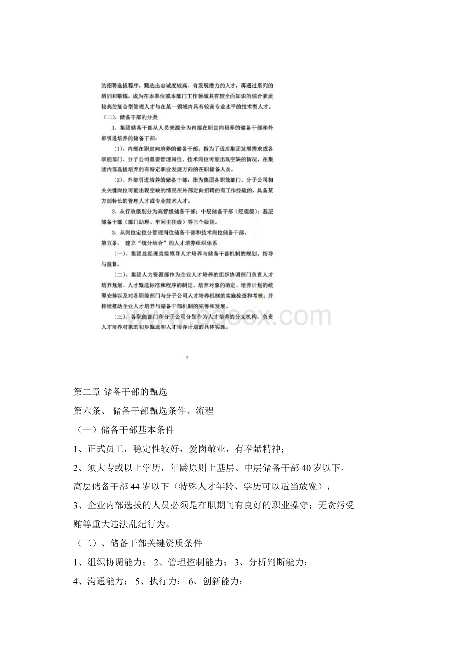 人才梯队与储备干部培养方案.docx_第2页