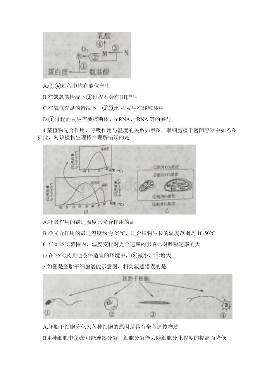 学年高一生物下学期期末考试试题 人教版 新版.docx_第2页