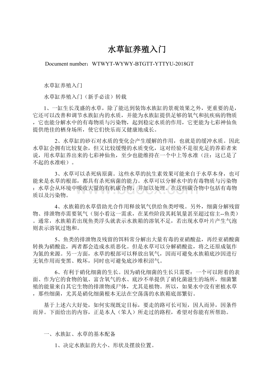 水草缸养殖入门Word格式文档下载.docx