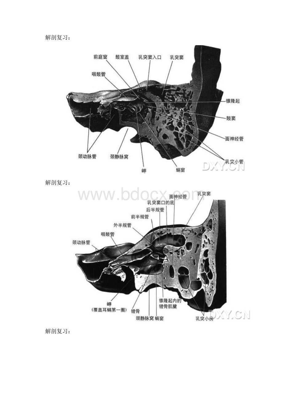 桥小脑角占位性病变诊断与鉴别.docx_第3页