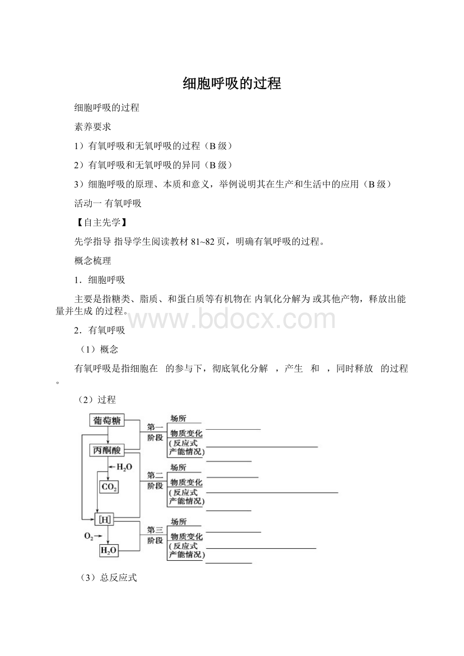 细胞呼吸的过程.docx_第1页