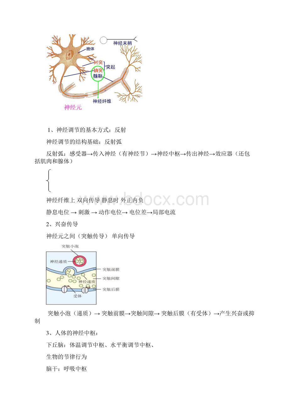 高中生物必修三总结.docx_第3页