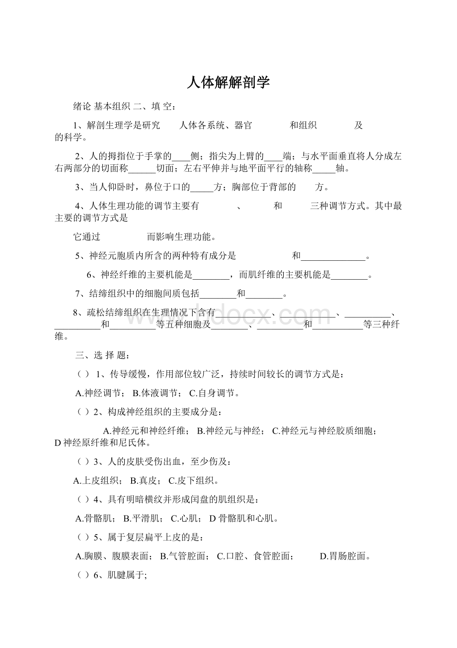 人体解解剖学Word格式文档下载.docx