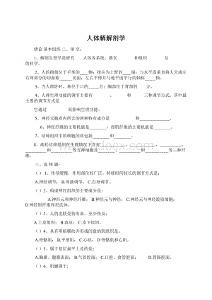 人体解解剖学Word格式文档下载.docx