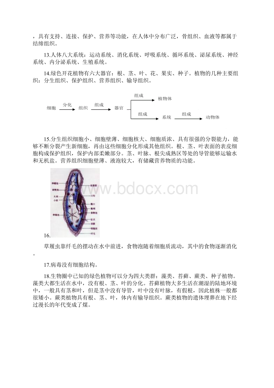 初中生物总复习资料超全Word文档下载推荐.docx_第3页