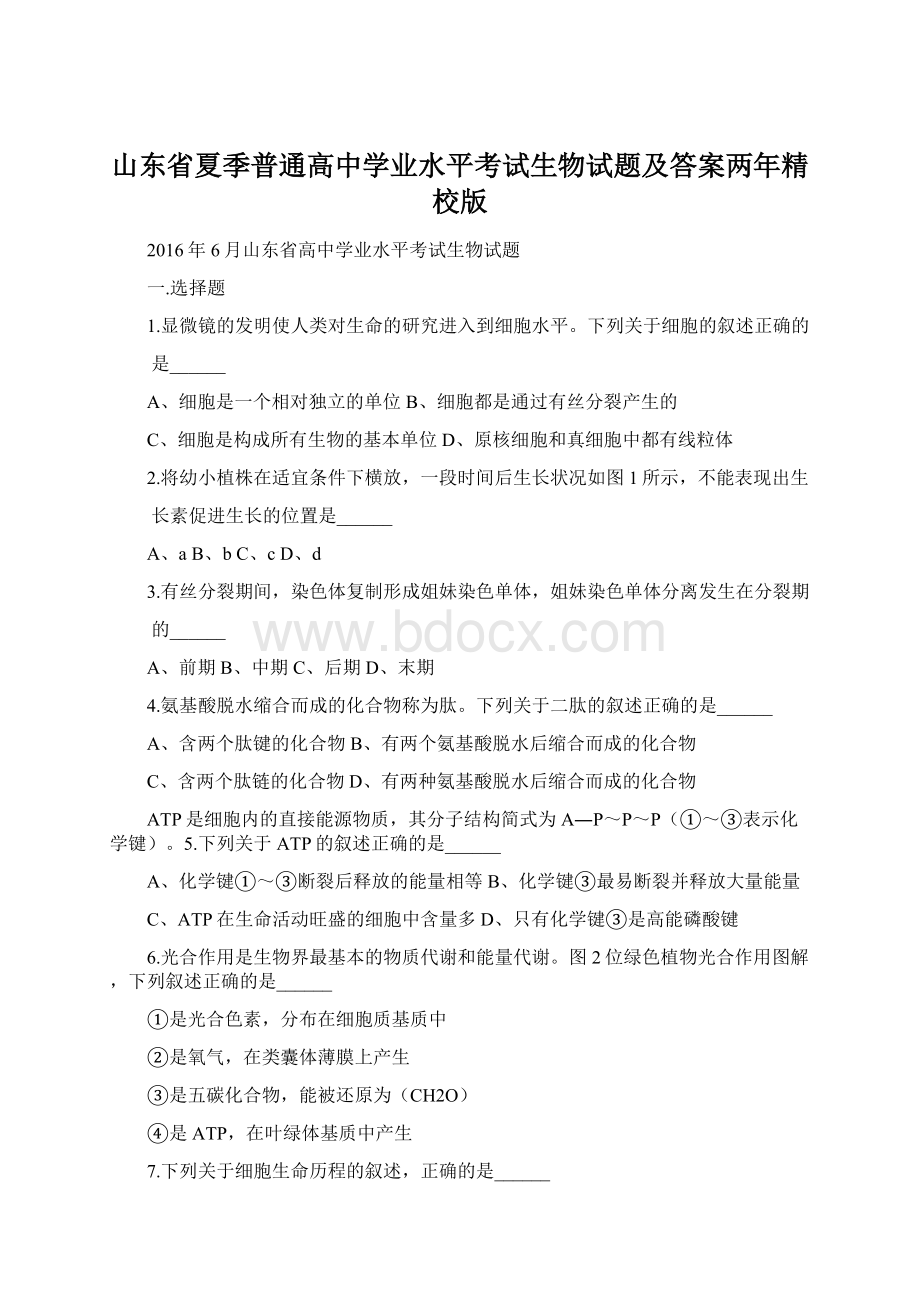 山东省夏季普通高中学业水平考试生物试题及答案两年精校版Word格式文档下载.docx_第1页