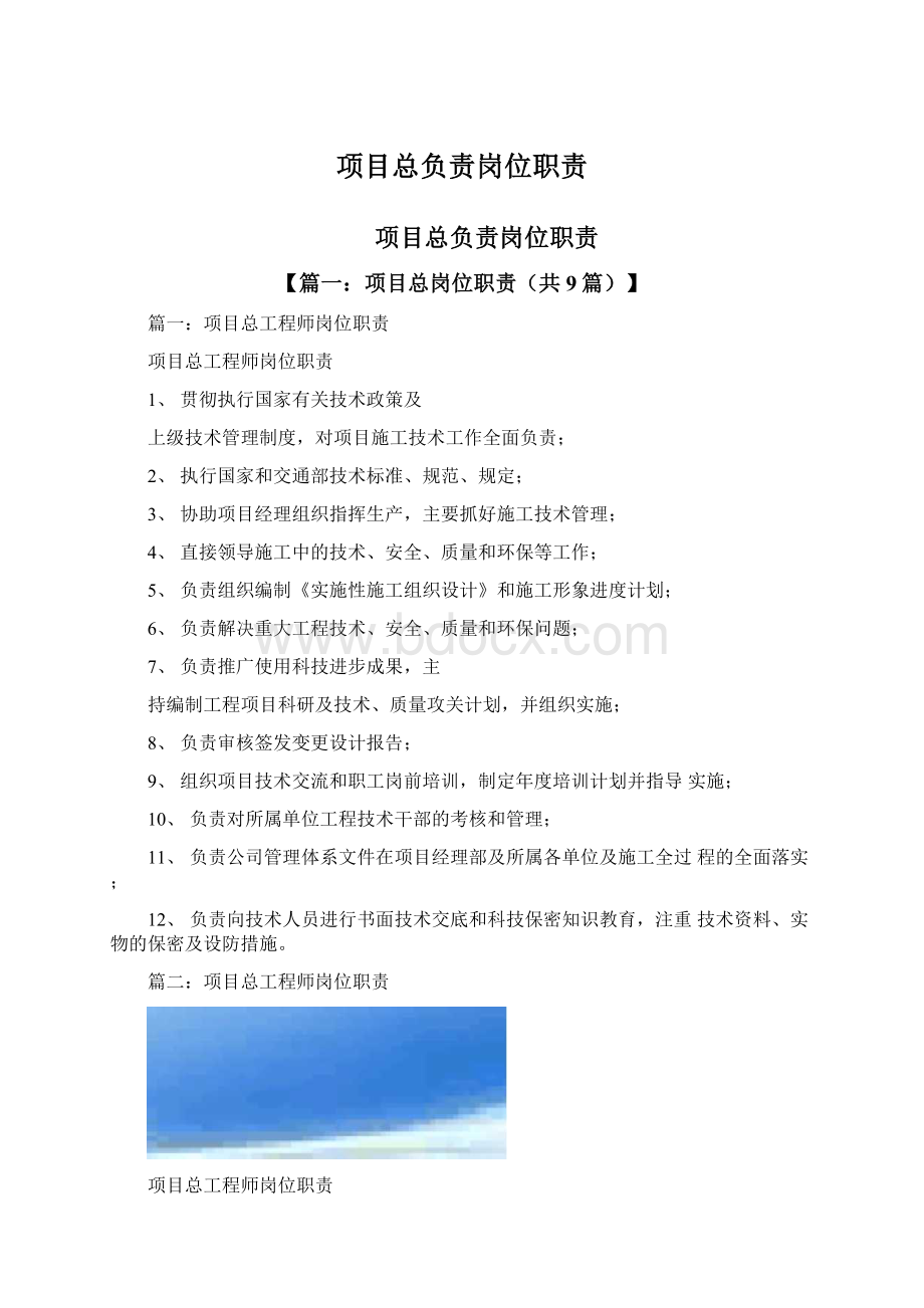 项目总负责岗位职责Word文档下载推荐.docx