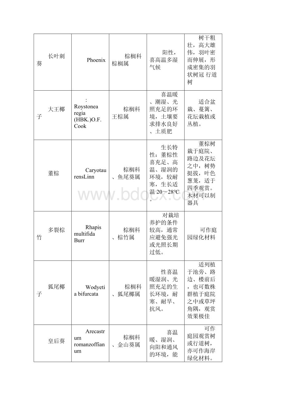 厦门园林植物园实践报告材料.docx_第2页