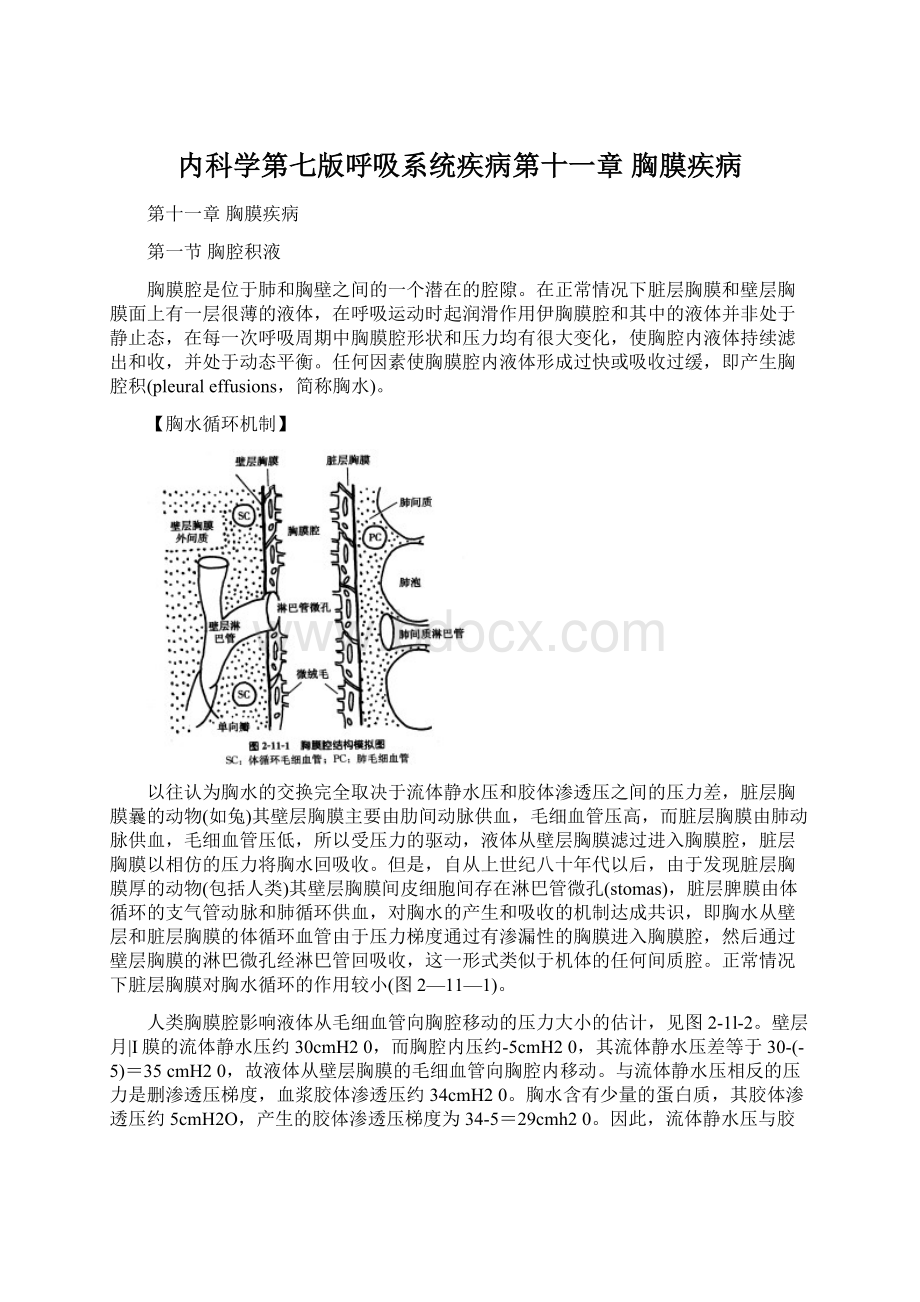 内科学第七版呼吸系统疾病第十一章 胸膜疾病.docx_第1页