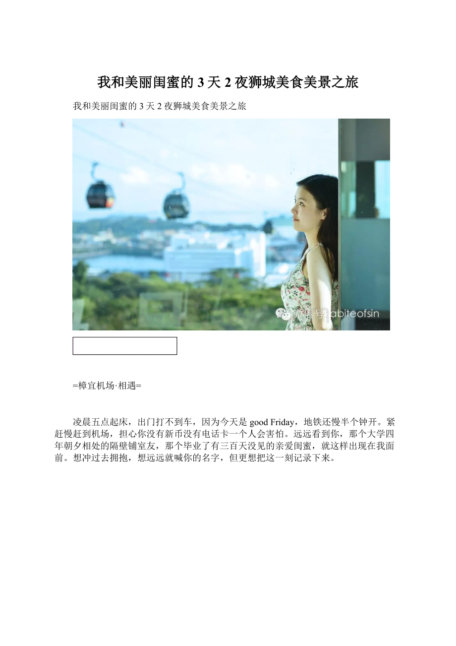 我和美丽闺蜜的3天2夜狮城美食美景之旅Word格式文档下载.docx