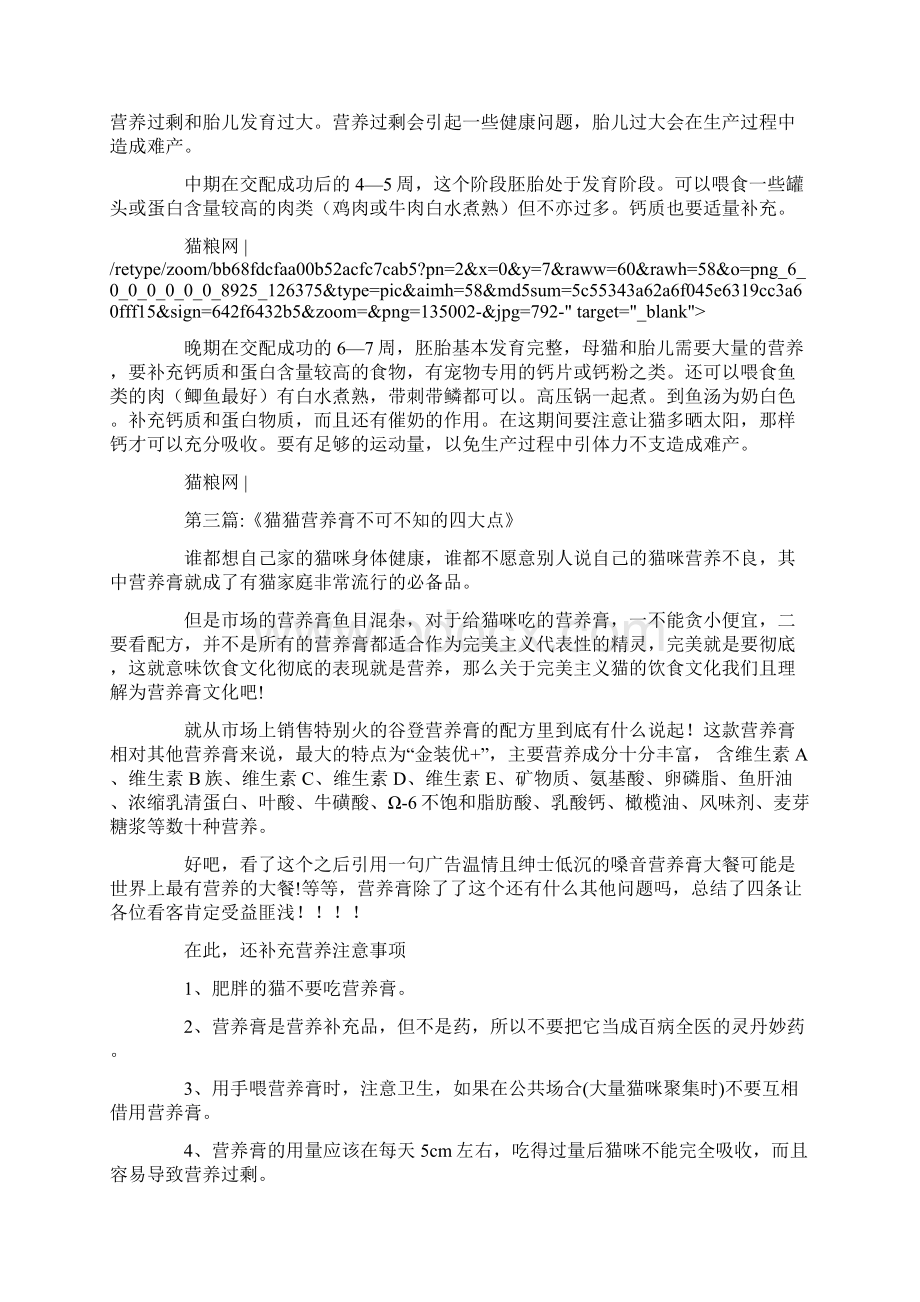 如何给猫咪补充营养Word文档格式.docx_第2页